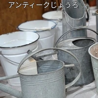 画像1000