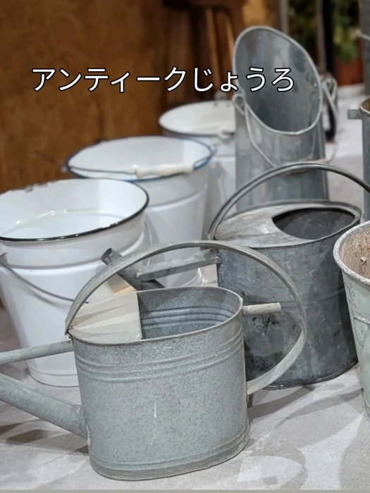 画像1000