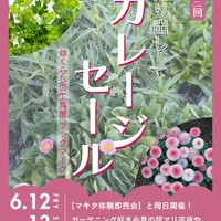 画像1204