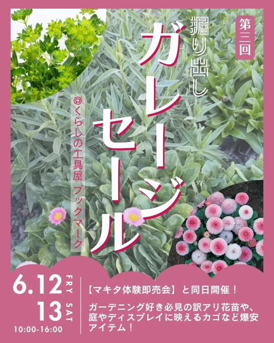画像1204