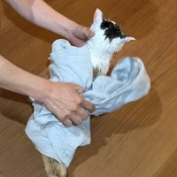 画像1210