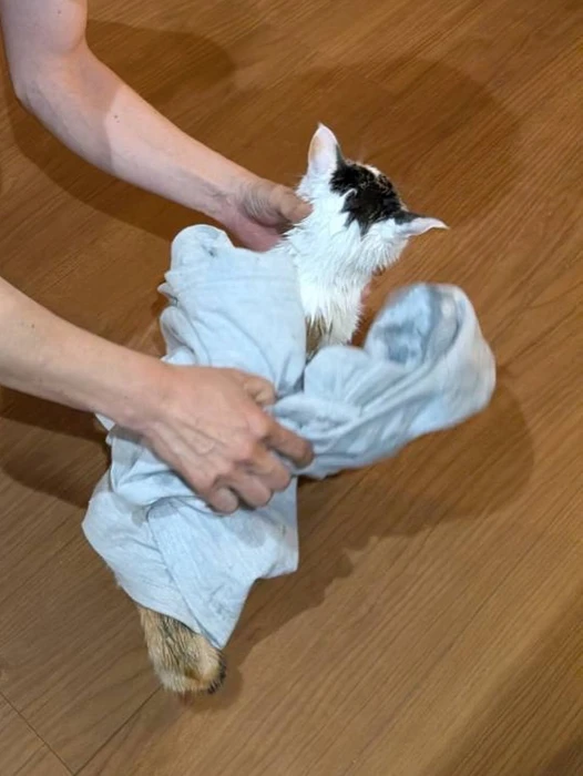 画像1210