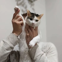 画像1321