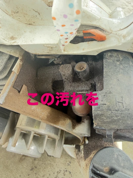 画像1334