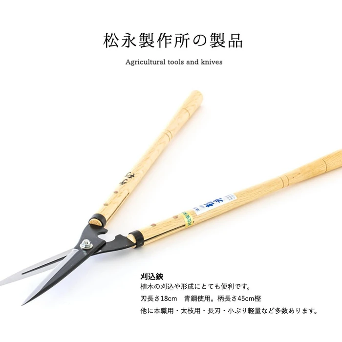 画像451