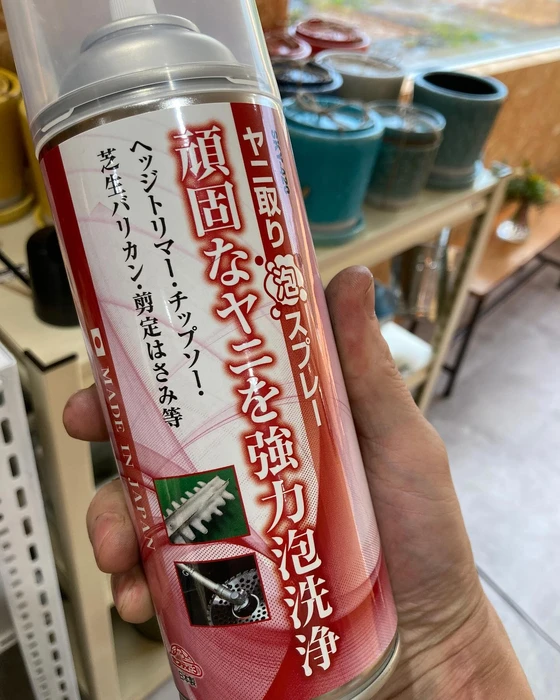 画像461
