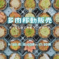 画像510