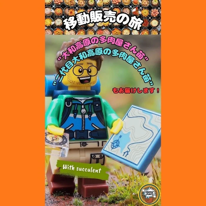 画像512