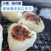 画像555