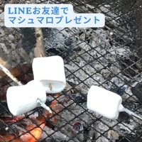 画像557