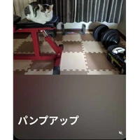 画像578
