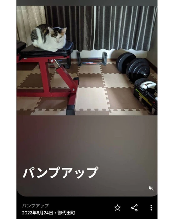画像578