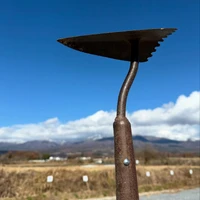 画像586