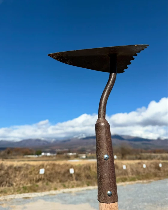 画像586