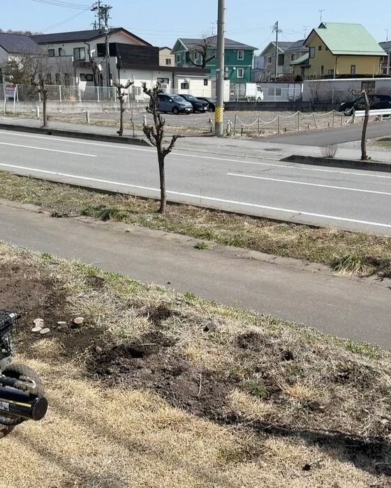 画像718