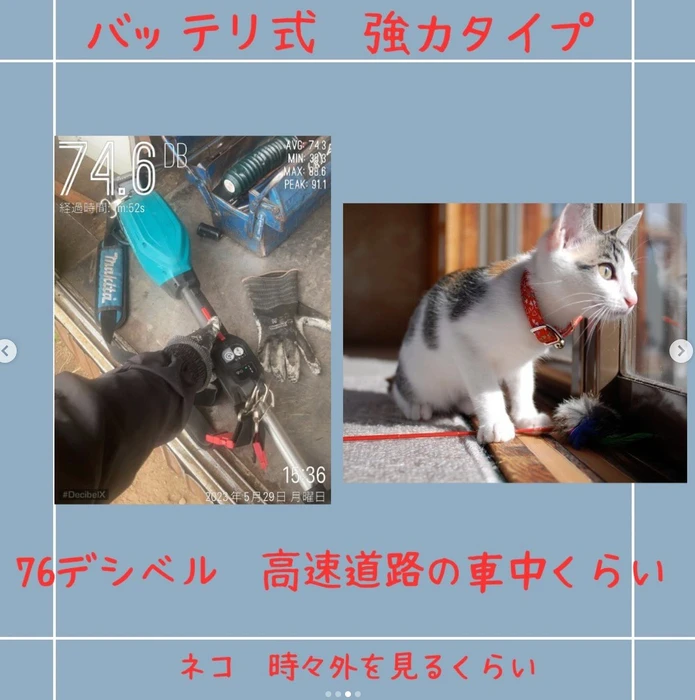 画像838