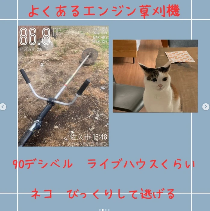 画像842