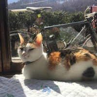 画像871