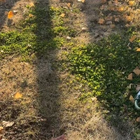 画像953