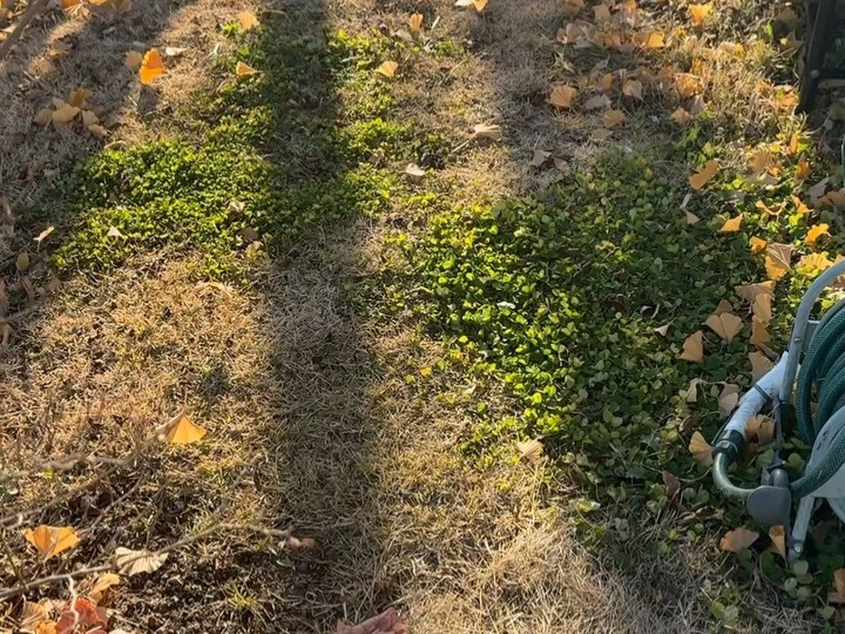 画像953