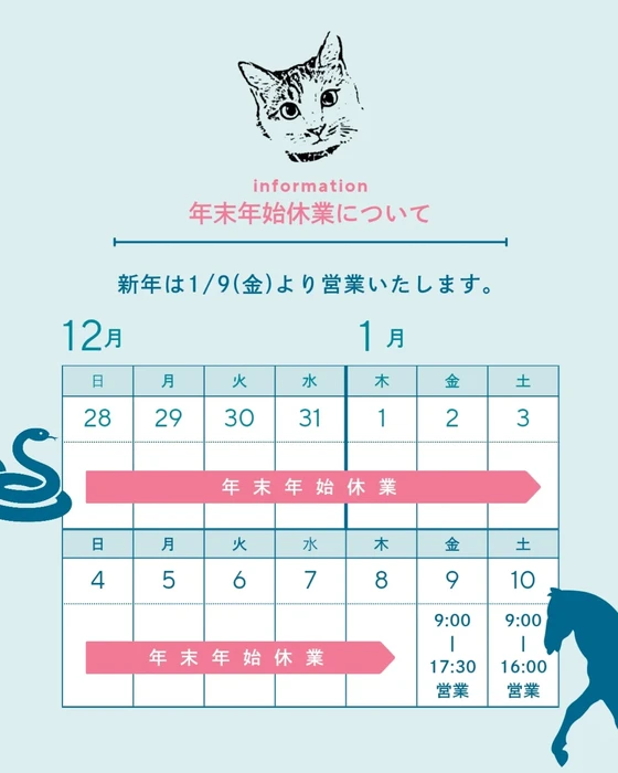 画像976