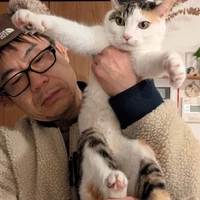 画像985